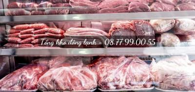 Tổng Kho Thực Phẩm Đông Lạnh TPHCM