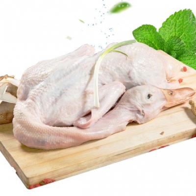 VỊT TRỜI – NGUỒN THỰC PHẨM CHẤT LƯỢNG, GIÁ SỈ & LẺ TỐT NHẤT TỪ VIFOODS