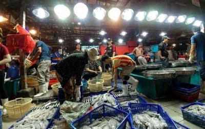 Vựa Hải Sản Bình Điền – Nơi Tâm Điểm Của Hải Sản Tươi Sống Do Vifoods Cung Cấp