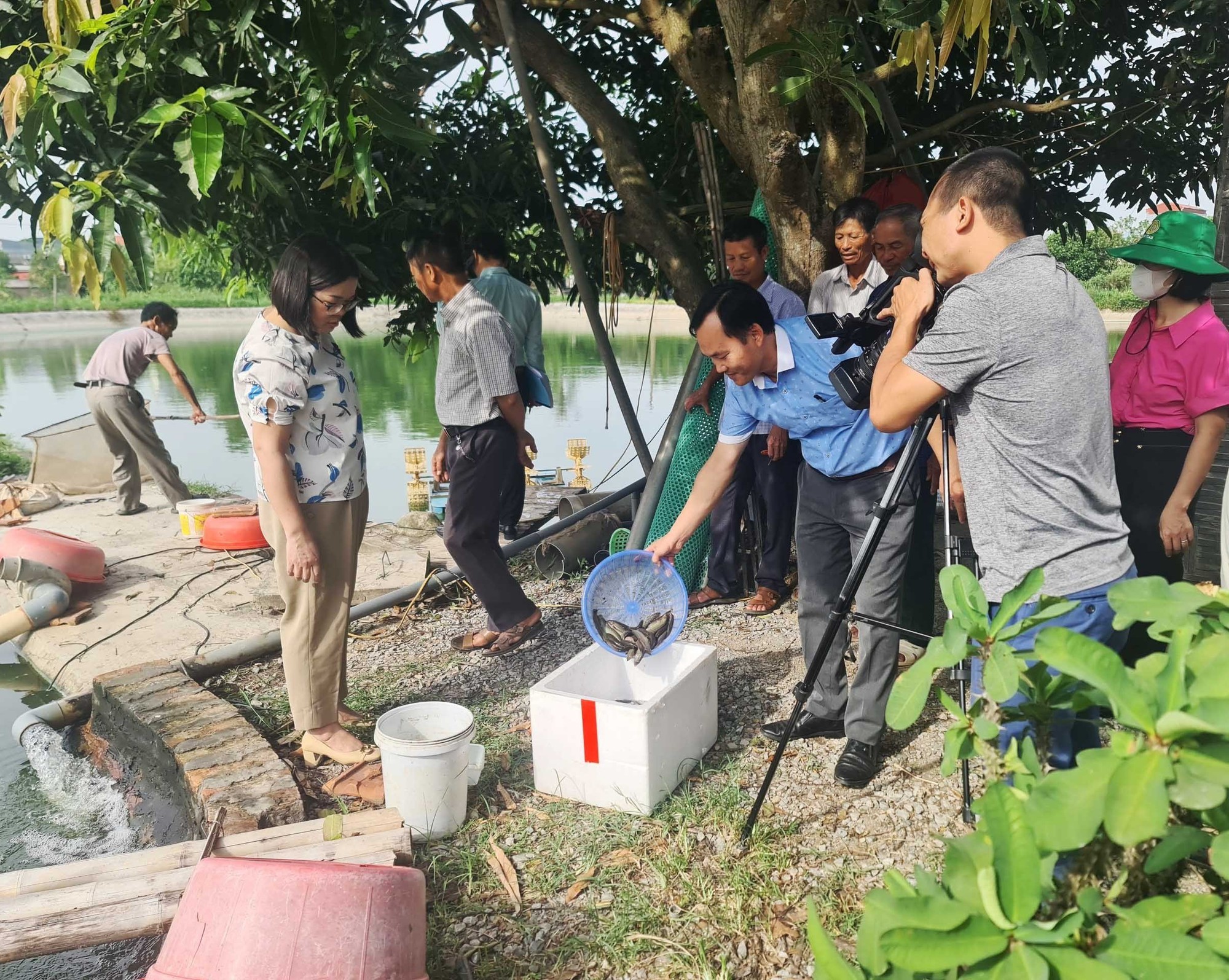 Nuôi thành công loại cá ngon ở ao đất, nhiều người kéo đến xem, nông dân Hải Dương bán 85.000 đông/kg - Ảnh 1.