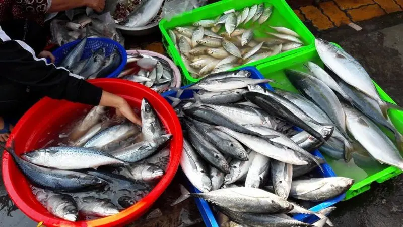 Chợ Cô Giang - Phường 4 Chợ Cô Giang - Phường 4