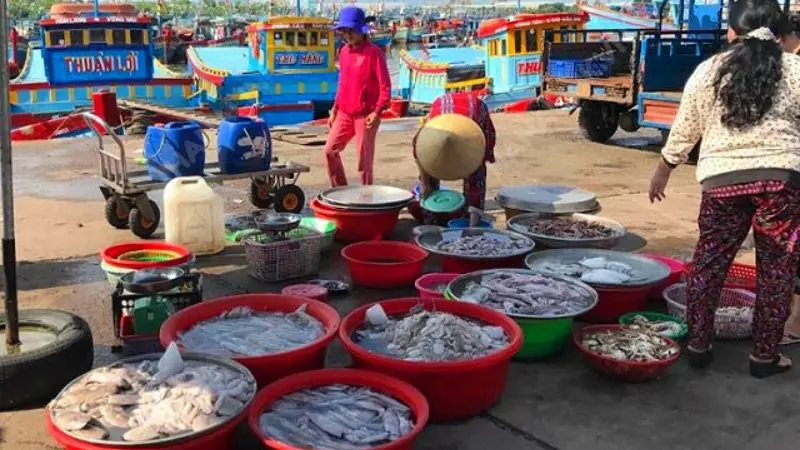 Chợ Bến Đình - Phường 6 Chợ Bến Đình - Phường 6