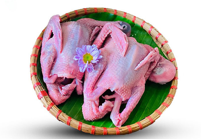 Amazing Foods - Địa chỉ bán bồ câu thịt ngon, bổ dưỡng tại Sài Gòn